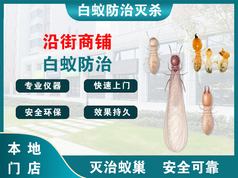 奉贤区沿街商铺白蚁防治