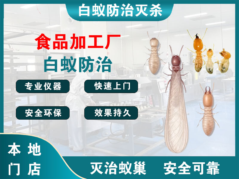 奉贤区食品加工厂白蚁防治