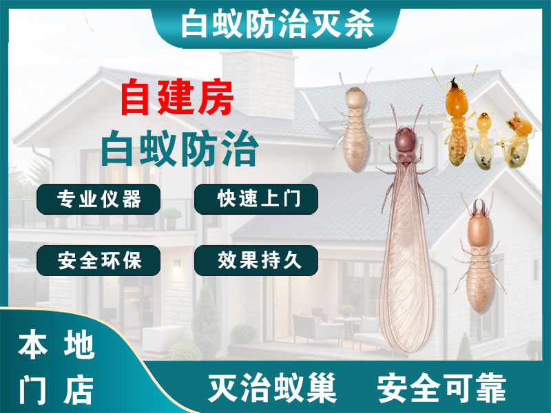 奉贤区自建房白蚁防治