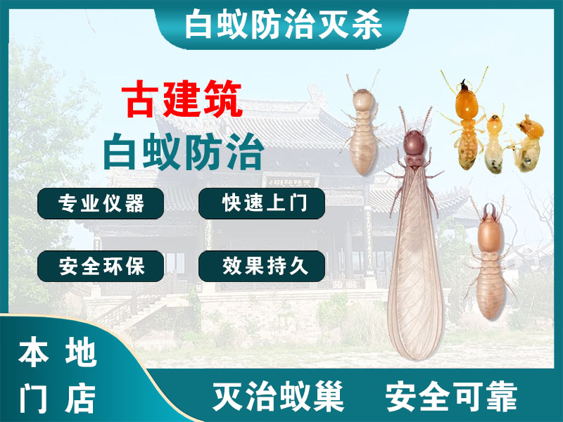 奉贤区古建筑白蚁防治