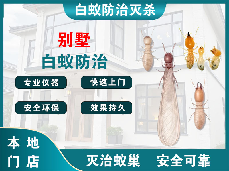 奉贤区别墅白蚁防治